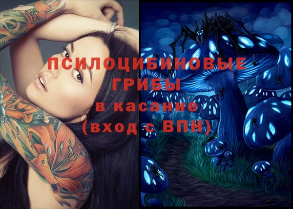 дживик Михайлов
