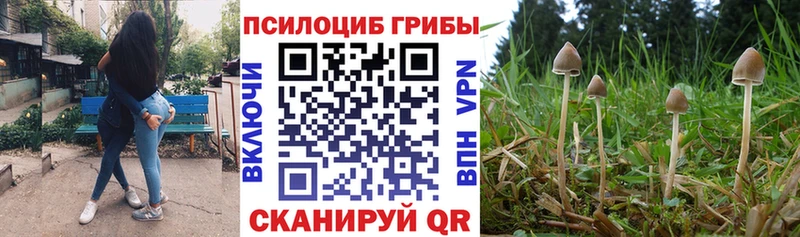 Купить  Жирновск  Галлюциногенные грибы мицелий 